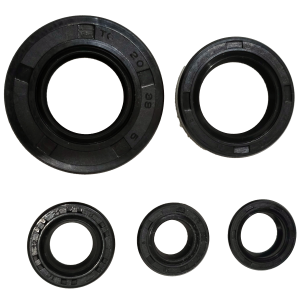 RETENES DE MOTOR (5 PIEZAS) YAMAHA YBR125, XTZ125 20*38*5, 20*30*5, 12*21*4, 10*18*6, 12*18*5