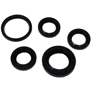 RETENES DE MOTOR (5 PIEZAS) ITALIKA DS125, DS150 (20*32*6, 27*42*7, 34*41*4, 19.8*30*5 (2 PCS)