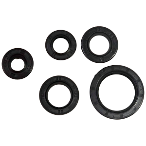 RETENES DE MOTOR (5 PIEZAS) ITALIKA AT110 (18.9X30X5,17X29X5,11.6X24X10,13.7X24X5,30X42X4.5)