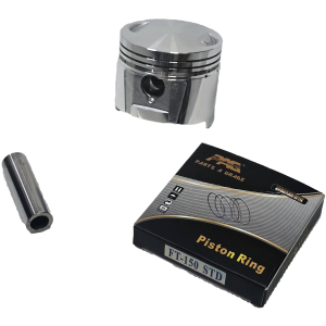 PISTON COMPLETO STD